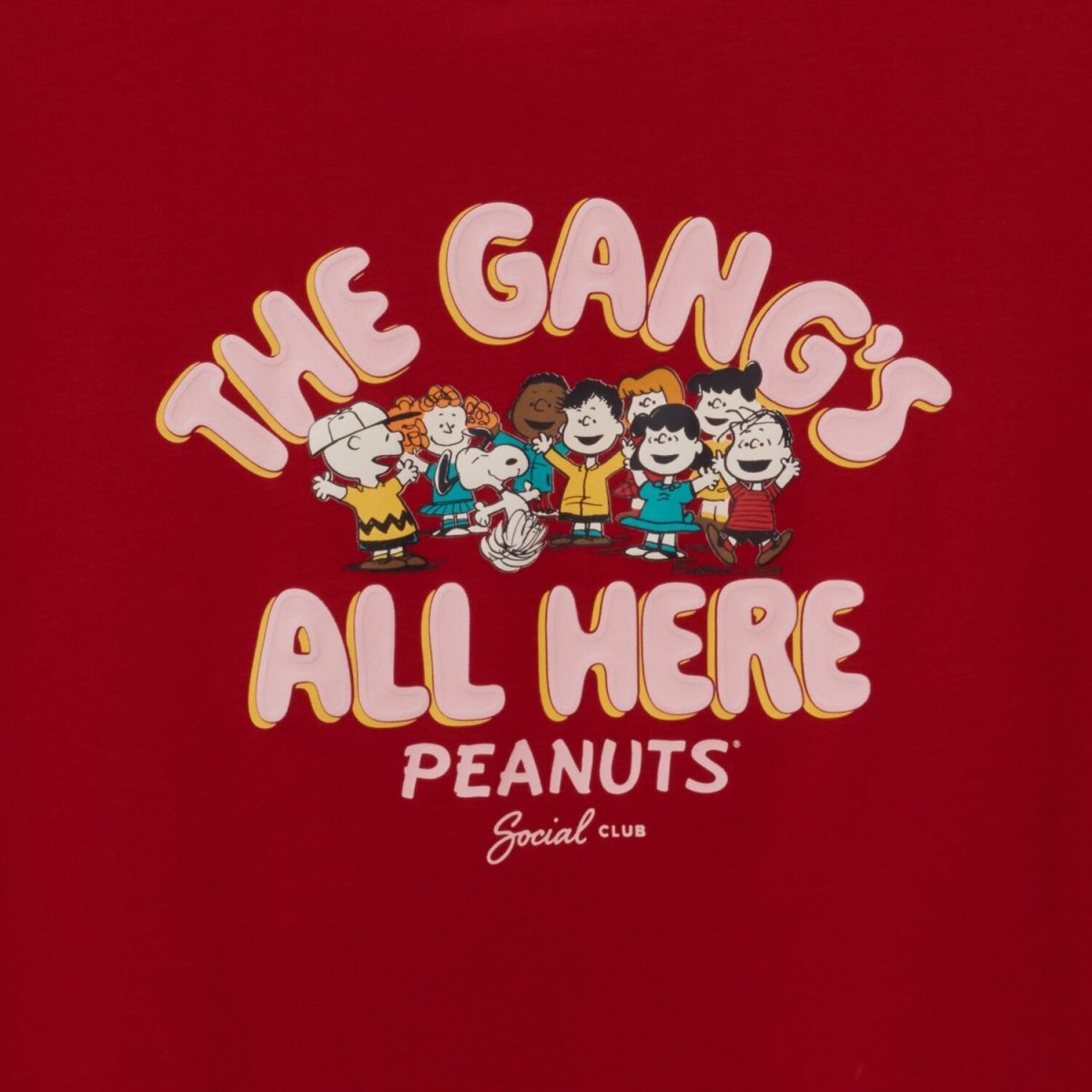 Giordano Women's Snoopy & Peanuts Print Tee - Premium Print Tee