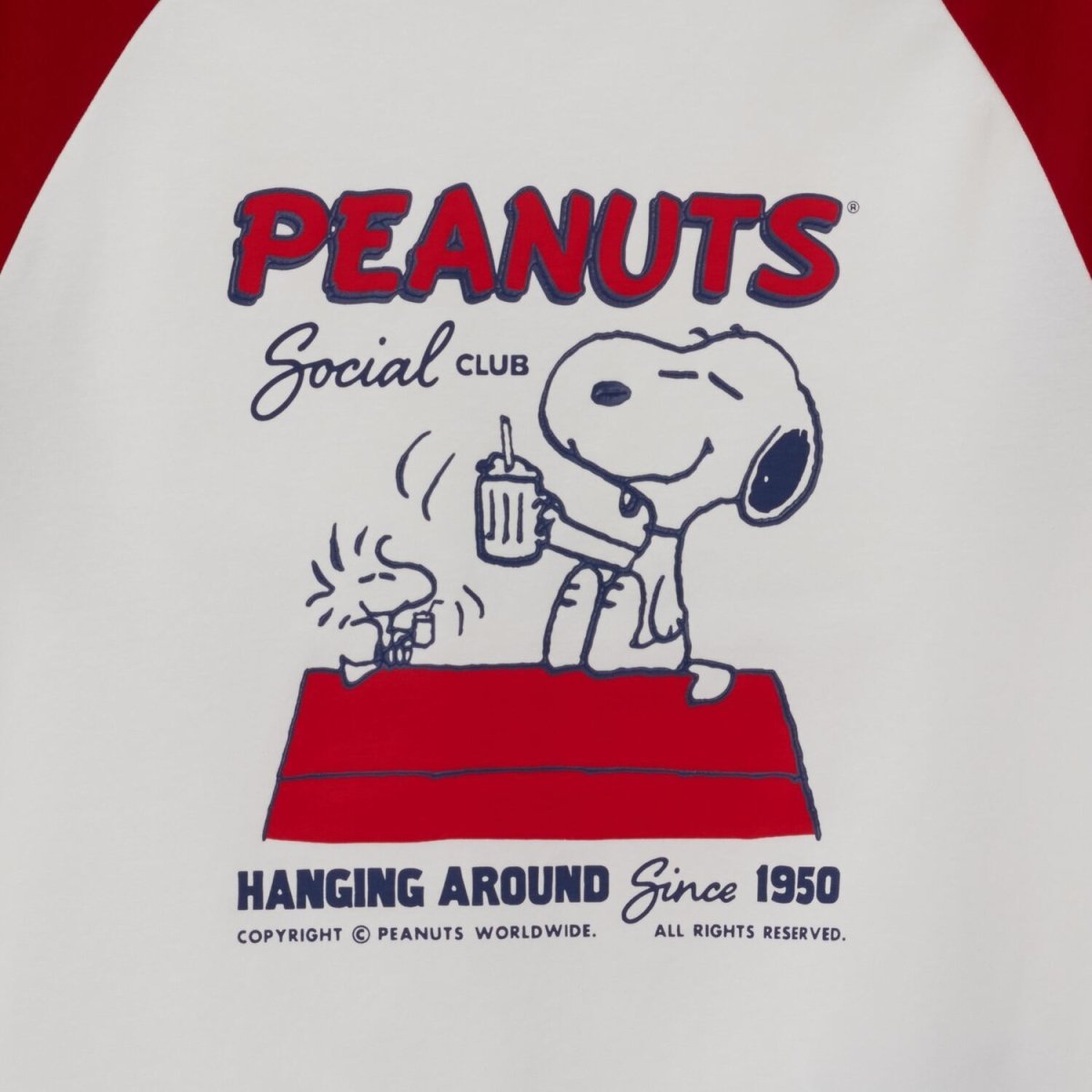 Giordano Women's Snoopy & Peanuts Print Tee - Premium Print Tee